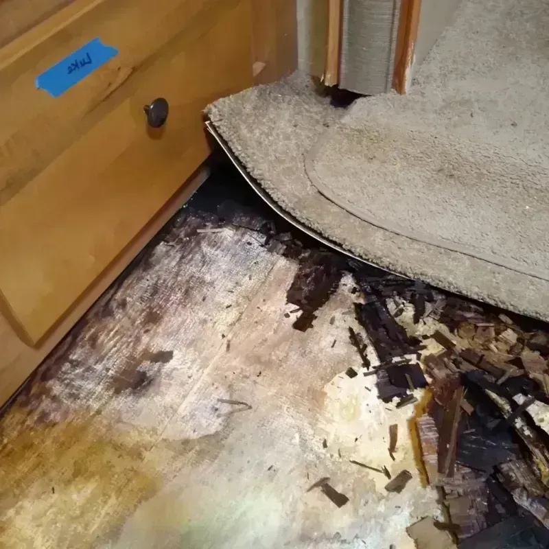 Wood Floor Water Damage in Austin, IN